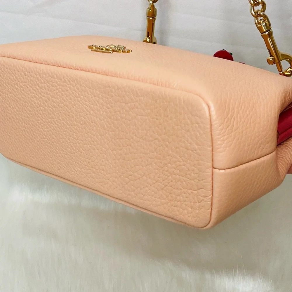 NWT Coach Nora Kisslock Crossbody Bag - Picture 11 of 15
